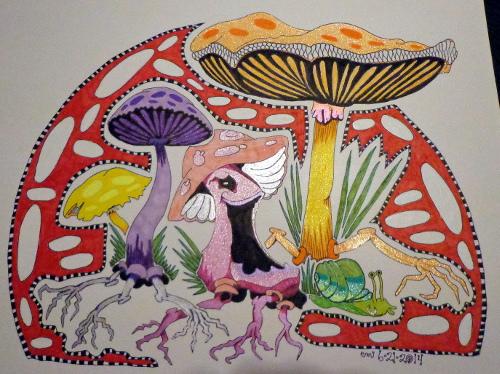 500 Magic Mushrooms ZIA
